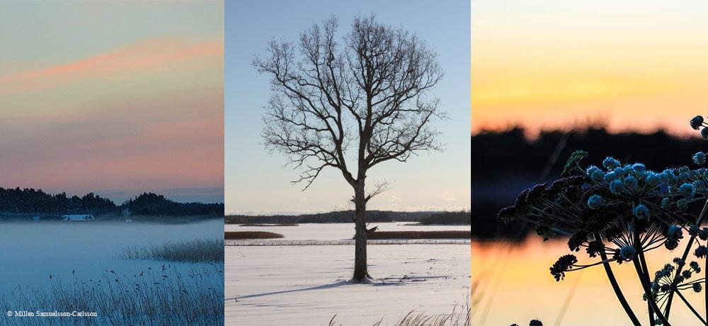 Vinterbilder från Geta